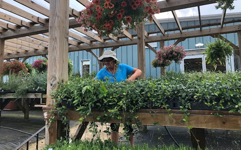 Roebuck Greenhouses Inc Garden Center — Garden center