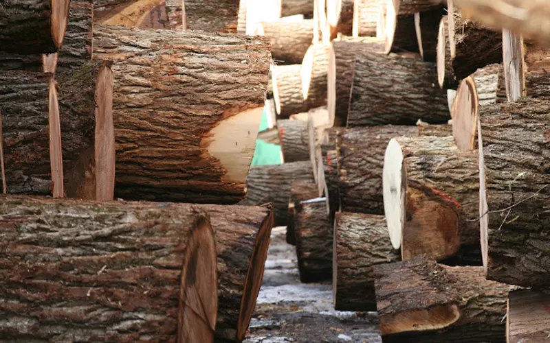 Good Forest Timber Company — Mulch supplier