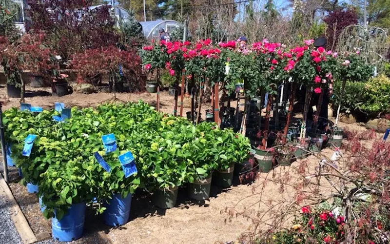 North Shore Garden Center — Garden center
