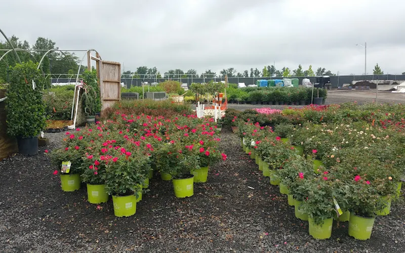 South Riding Nurseries — Wholesale plant nursery