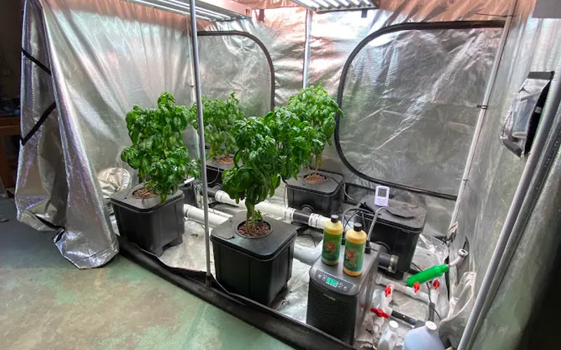 L.O.T.U.S. Urban Farm & Garden Supply — Hydroponics equipment supplier