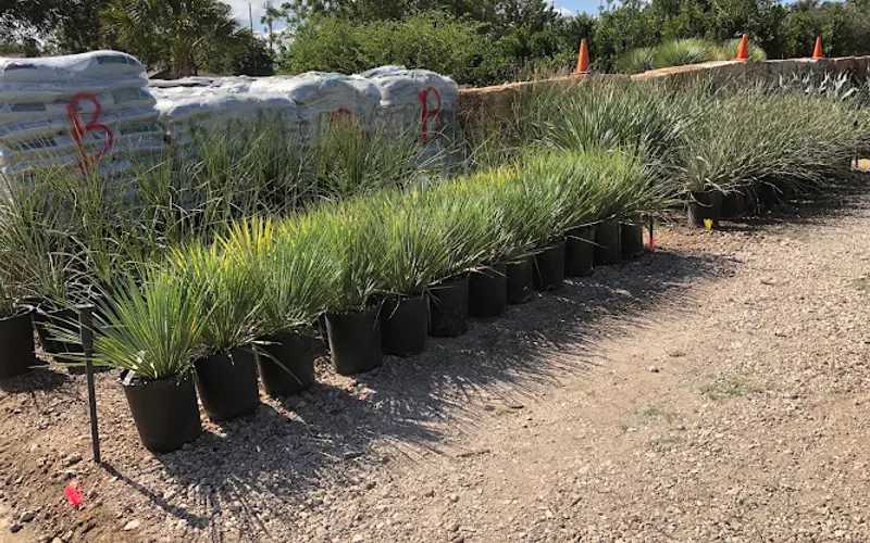 Leaf Landscape Supply — Wholesale plant nursery