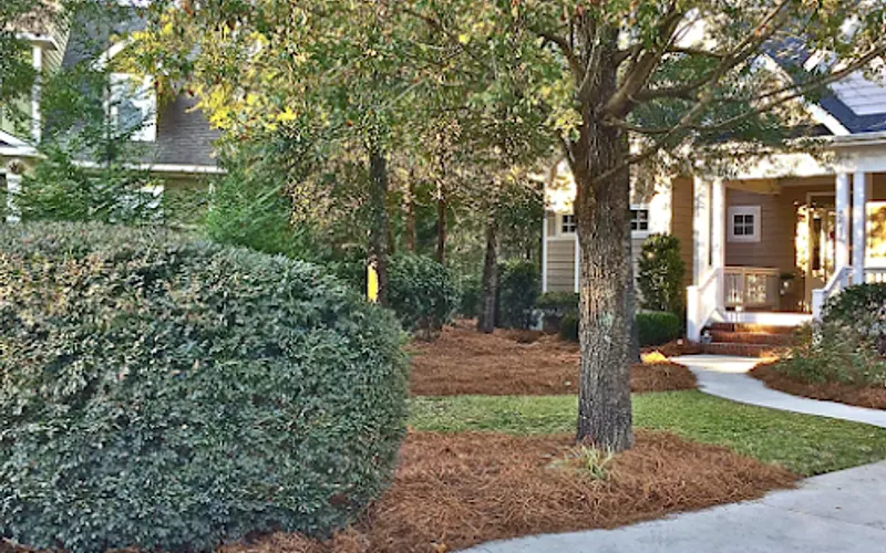 Coastal Cuts Landscaping — Lawn care service