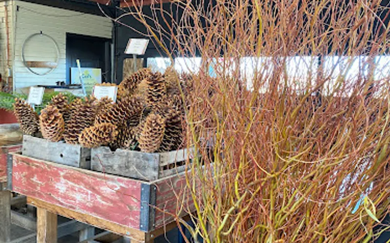 Cal's Garden Center — Garden center