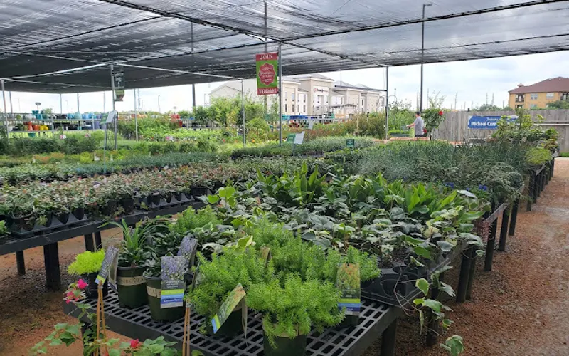 Cornelius Nursery — Landscaper