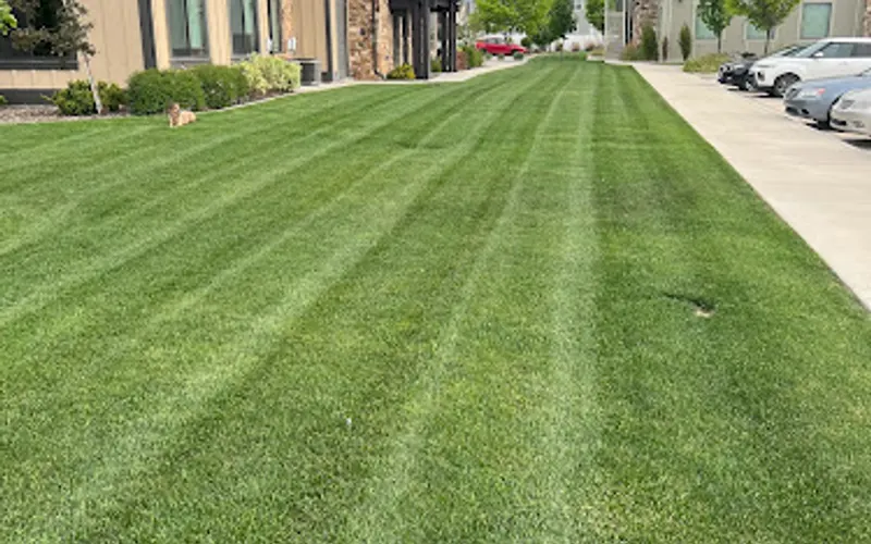 Platinum Lawn Service And Pest — Lawn care service