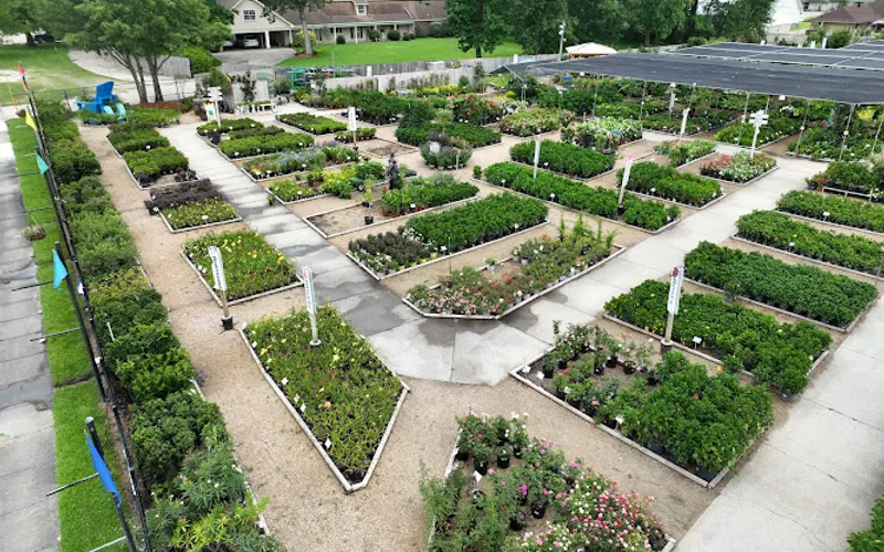 Louisiana Nursery — Garden center