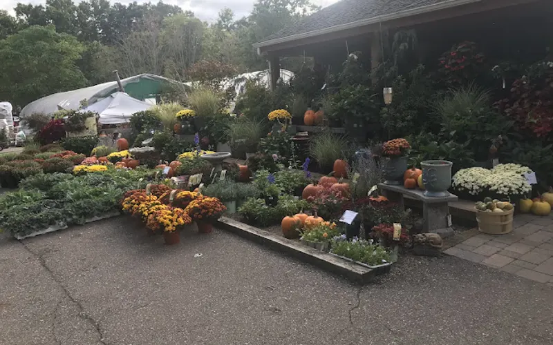 Beachside Gardens & Gifts — Garden center