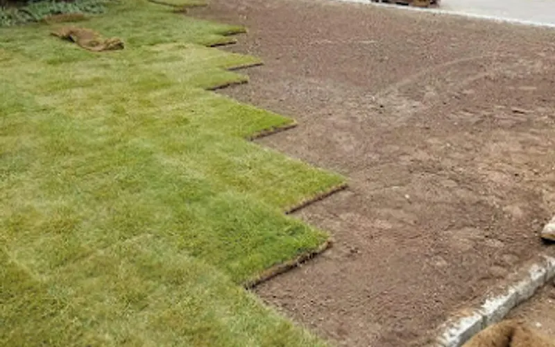 LONG ISLAND SOD — Landscaper