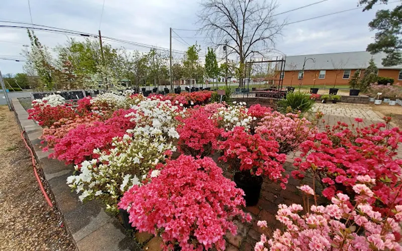 Shenandoah Valley Landscaping — Contractor