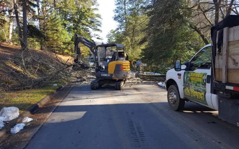 Mountain Tree Professionals — Tree service