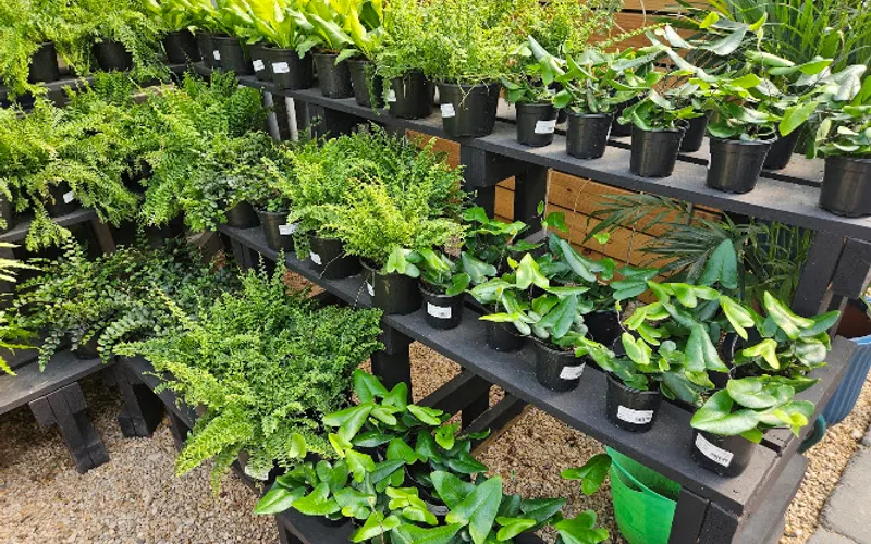 FIRST PRIORITY GARDEN CENTER — Landscaping supply store