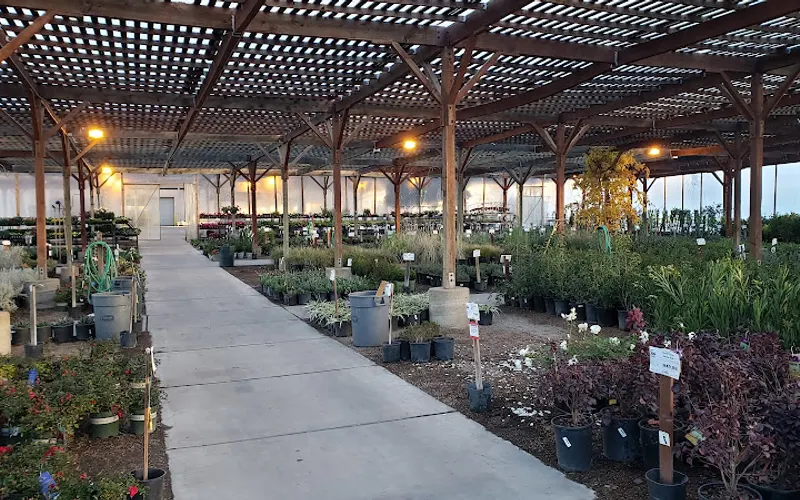Star Nursery Garden Center — Landscaping supply store