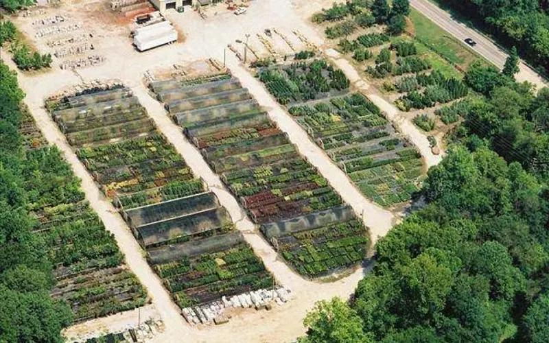 Buck Jones Nursery Woodstock — Plant nursery