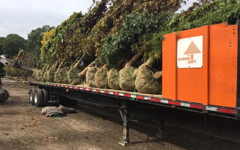 The Garden Dept. — Wholesale plant nursery