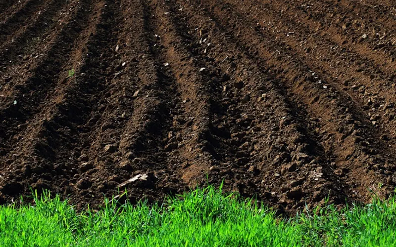 JK Enterprise Landscape Supply, LLC — Mulch supplier