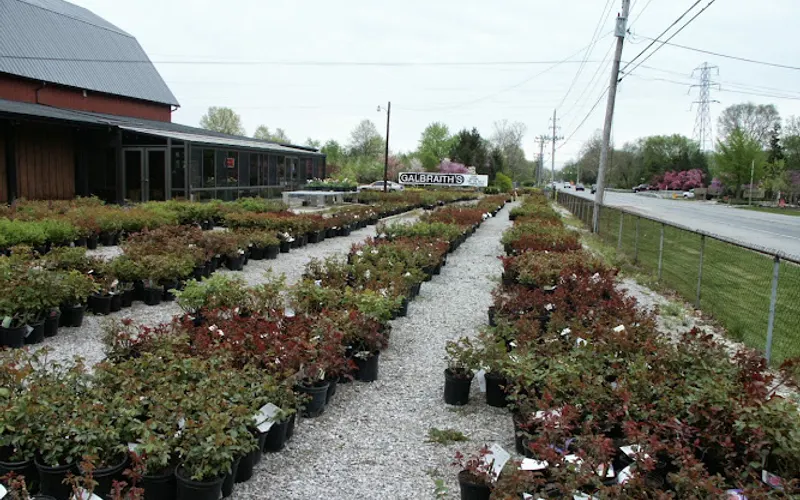 Galbraith's Landscaping & Lawn Care — Lawn care service