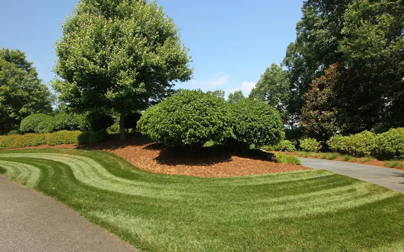 Paradise Landscaping — Landscaper