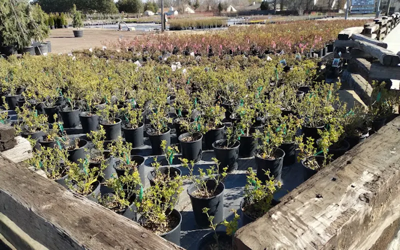 Cloverdale Nursery — Plant nursery