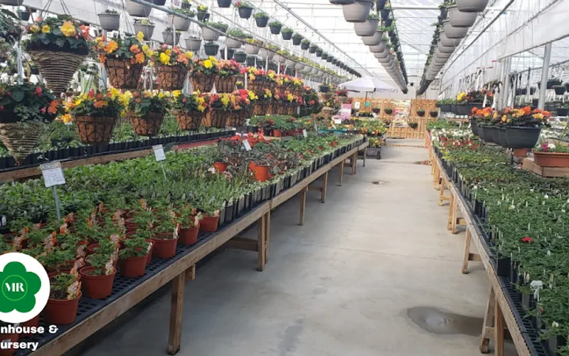 Maple Ridge Farm Greenhouse and Nursery — Garden center