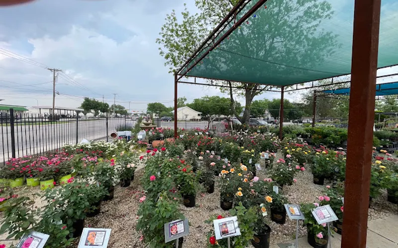 Round Rock Garden Center — Garden center