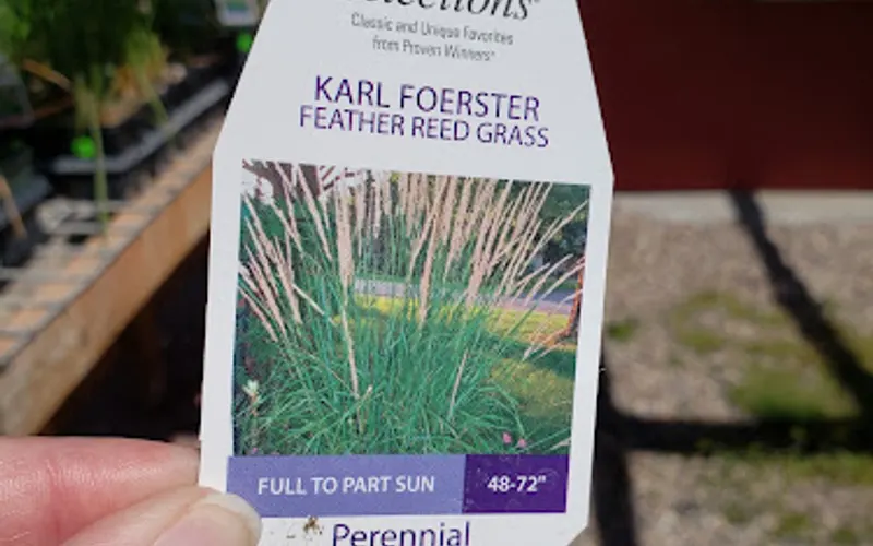 Changing Seasons Landscape & Sprinklers — Landscaper
