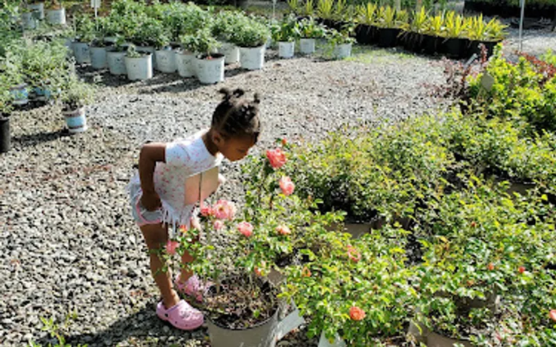 Greenwood Nursery — Garden center