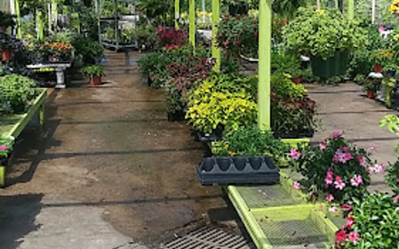 Cooks Nursery Nederland — Plant nursery