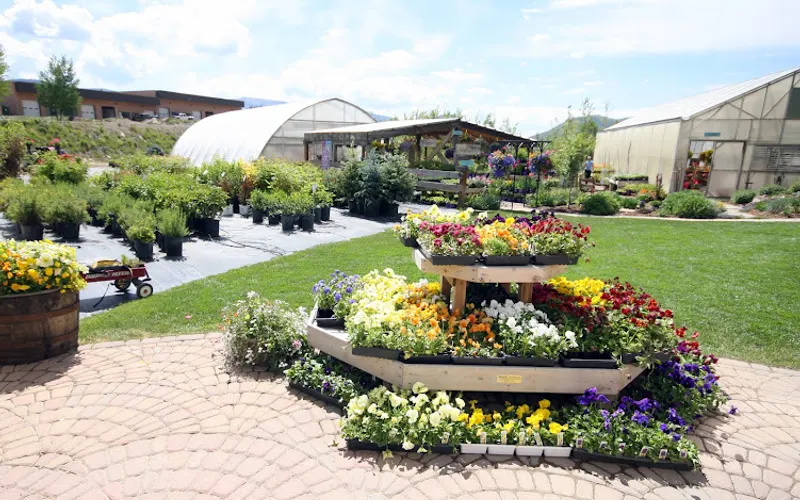 Rocky Mountain Trees-Landscaping — Landscaper