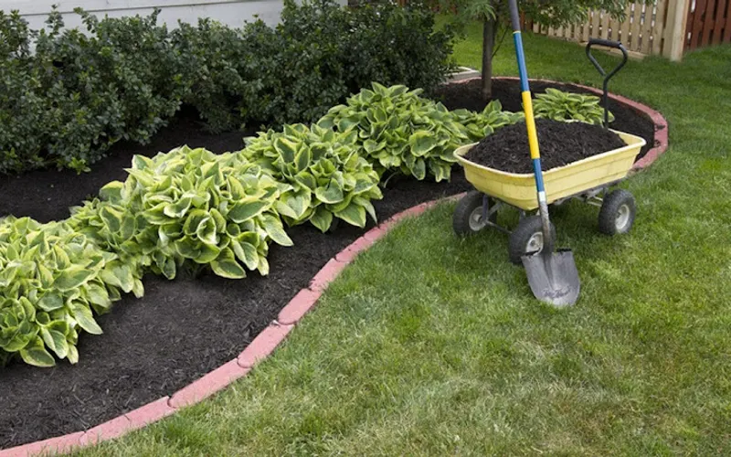 Golden Isles Wood Products, Inc — Mulch supplier