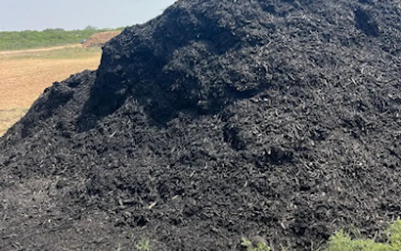 Tree Brush TX | Certified SWMD Brush Dumping Site & Sale of Mulch in San Antonio Texas — Mulch supplier