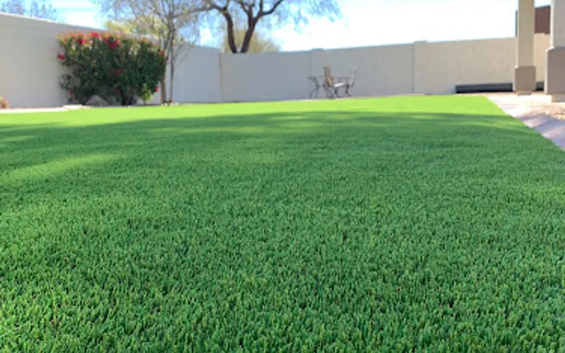 AZ Turf Suppliers — Turf supplier