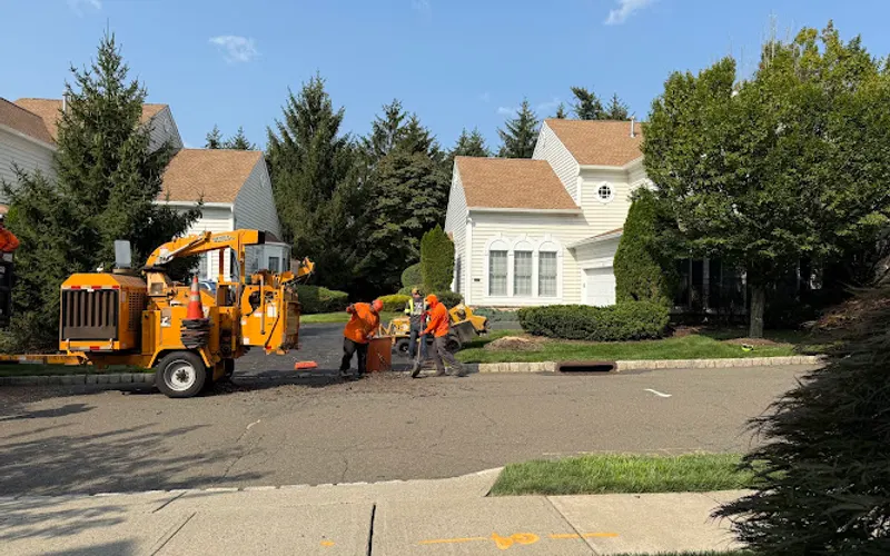 Al D Landscaping & Tree Service — Tree service