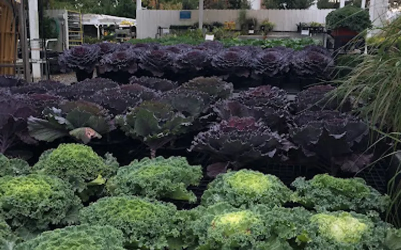 Good Earth Garden Market — Garden center