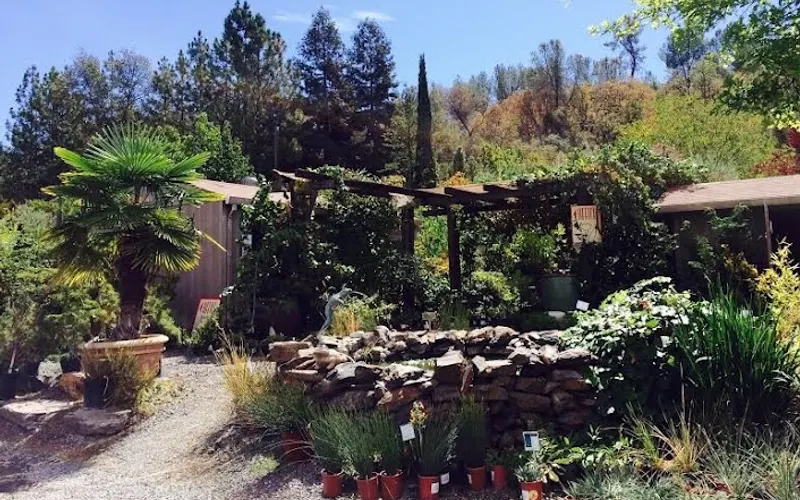 Solomon's Gardens Nursery & Landscaping — Landscaper