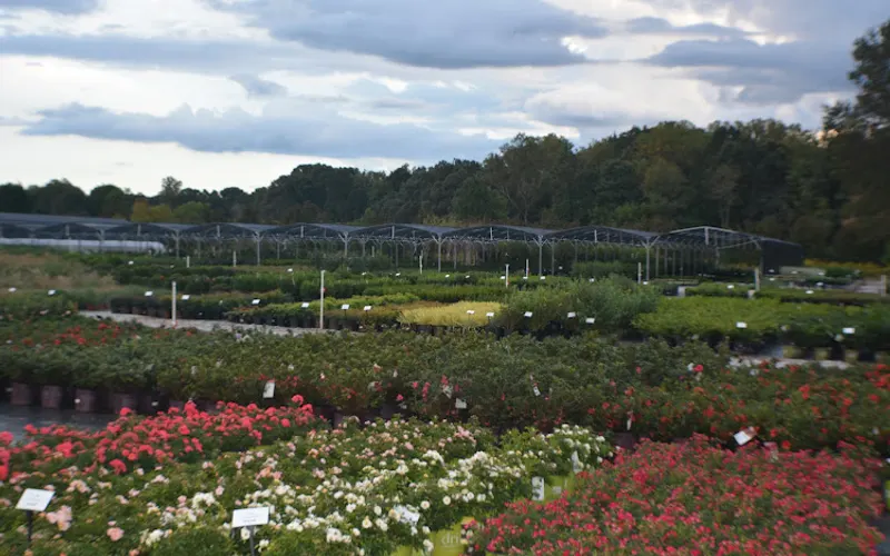 MNI Direct - Piedmont — Landscaping supply store