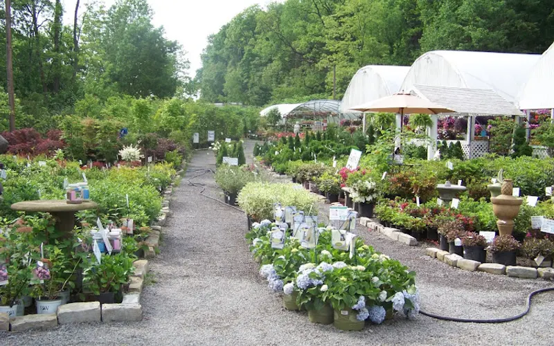 Hahn Nursery Garden Center & Greenhouses — Garden center