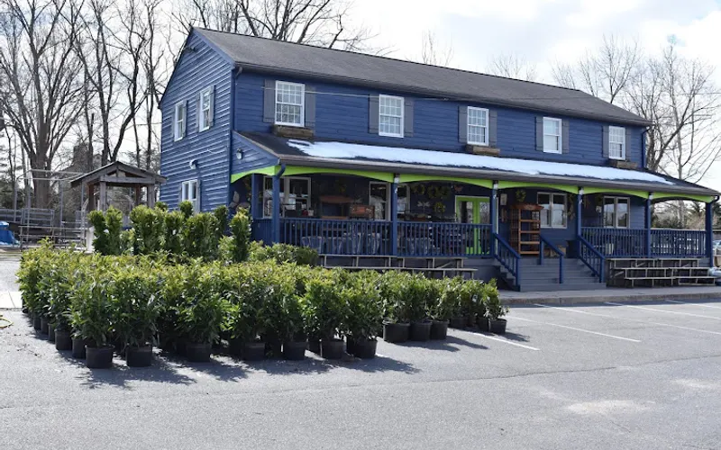Blue Tree Garden Center — Garden center