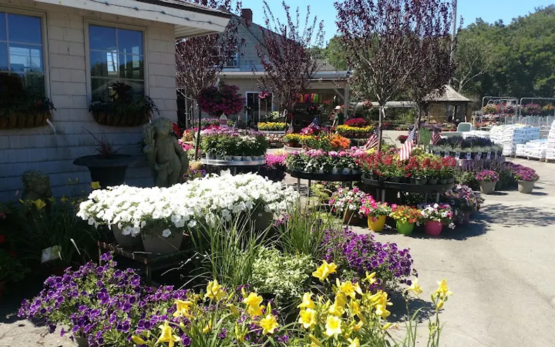 Northeast Nursery Garden Center — Garden center