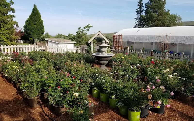 Cowiche Creek Nursery — Garden center