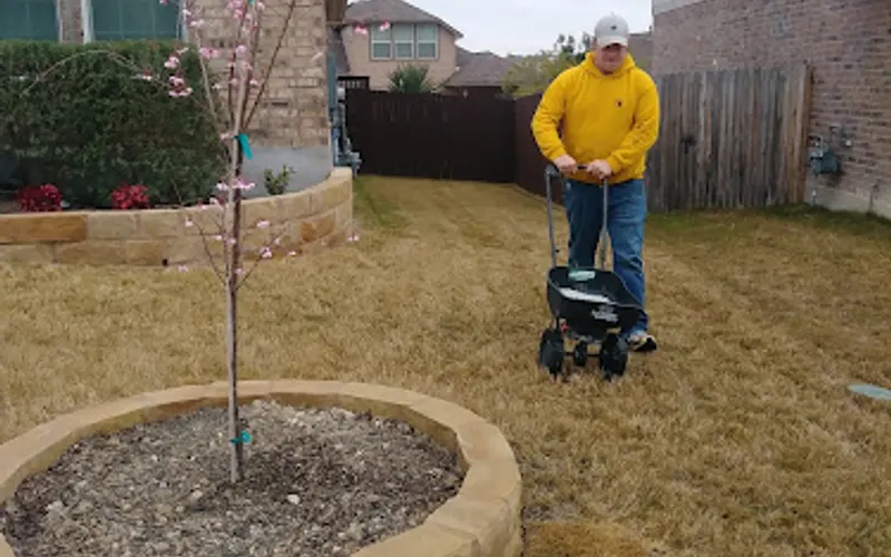 Buzy Bee'z Lawn & Treez — Landscaper