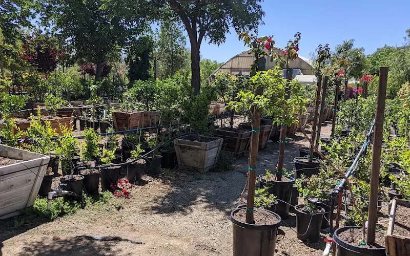 Louie's Landscape Materials Inc — Plant nursery