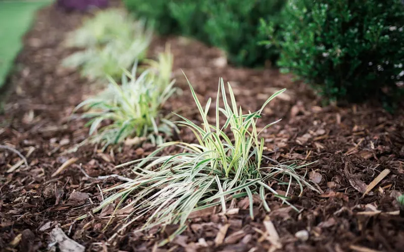 PROSCAPE Inc. — Landscaper