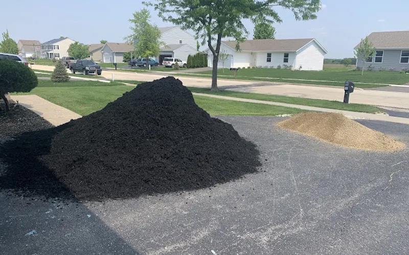 Down To Earth Landscaping — Landscaper