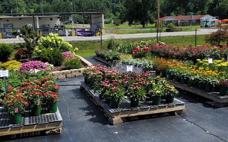 Kirby Plants — Garden center