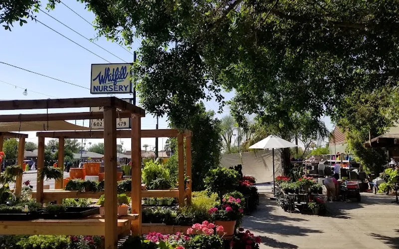 Whitfill Nursery — Garden center