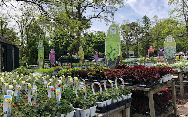 Scenic Roots — Garden center