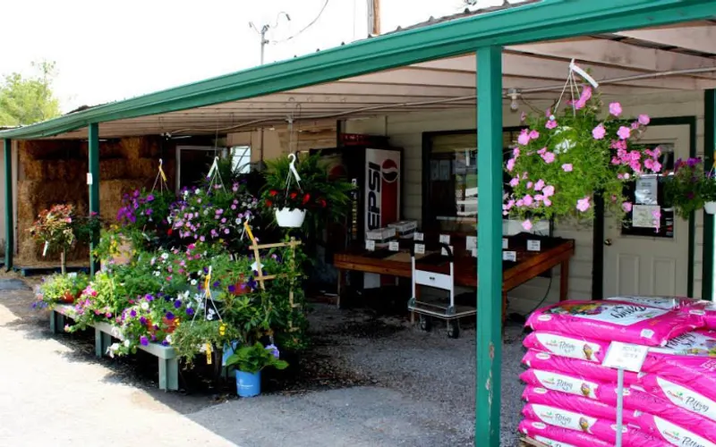 Wilkinson Plant Center — Plant nursery