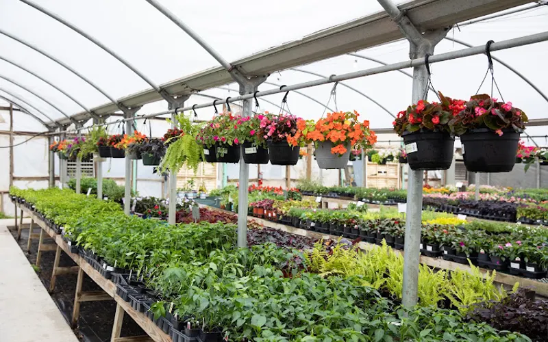 Hughes Plant Farm — Garden center