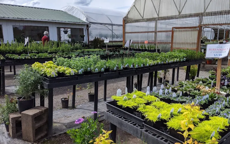Chapman's Greenhouse and Nursery — Greenhouse